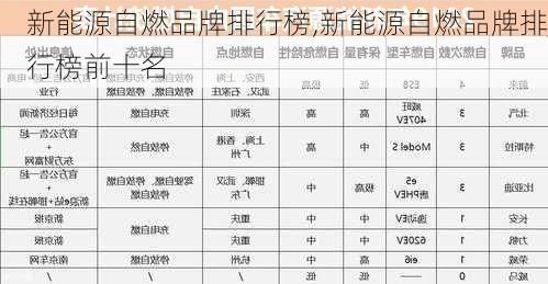 新能源自燃品牌排行榜,新能源自燃品牌排行榜前十名