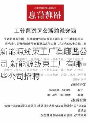 新能源线束工厂有哪些公司,新能源线束工厂有哪些公司招聘-第2张图片-苏希特新能源