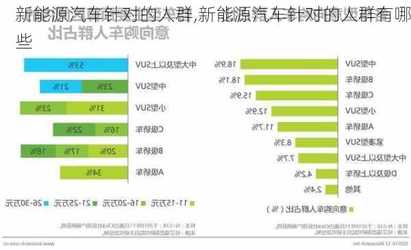 新能源汽车针对的人群,新能源汽车针对的人群有哪些-第3张图片-苏希特新能源