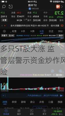 多只ST股大涨 监管层警示资金炒作风险-第2张图片-苏希特新能源