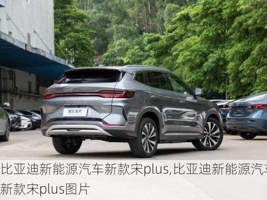 比亚迪新能源汽车新款宋plus,比亚迪新能源汽车新款宋plus图片-第2张图片-苏希特新能源