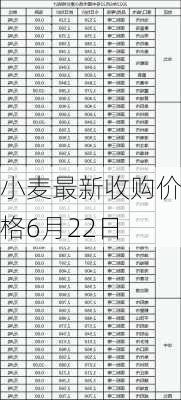 小麦最新收购价格6月22日