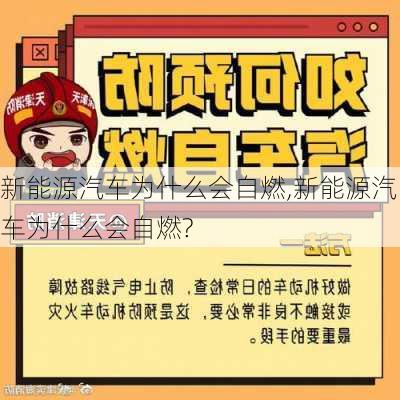 新能源汽车为什么会自燃,新能源汽车为什么会自燃?-第3张图片-苏希特新能源