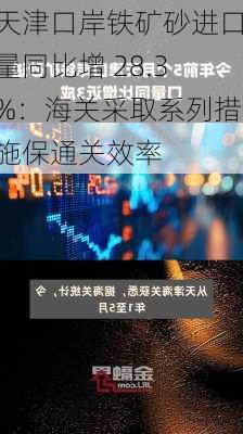 天津口岸铁矿砂进口量同比增 28.3%：海关采取系列措施保通关效率-第1张图片-苏希特新能源