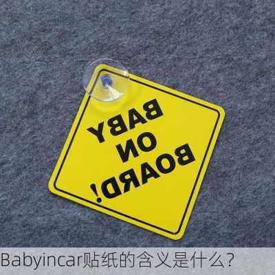 Babyincar贴纸的含义是什么？-第3张图片-苏希特新能源