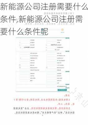 新能源公司注册需要什么条件,新能源公司注册需要什么条件呢-第1张图片-苏希特新能源