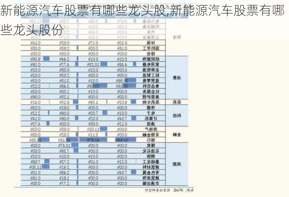 新能源汽车股票有哪些龙头股,新能源汽车股票有哪些龙头股份-第1张图片-苏希特新能源