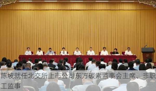 陈坡就任北交所上市公司东方碳素监事会主席、非职工监事-第1张图片-苏希特新能源