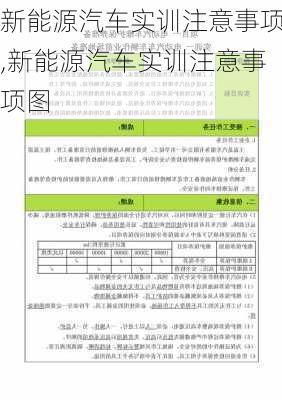 新能源汽车实训注意事项,新能源汽车实训注意事项图-第1张图片-苏希特新能源