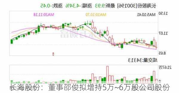 长海股份：董事邵俊拟增持5万~6万股公司股份-第1张图片-苏希特新能源