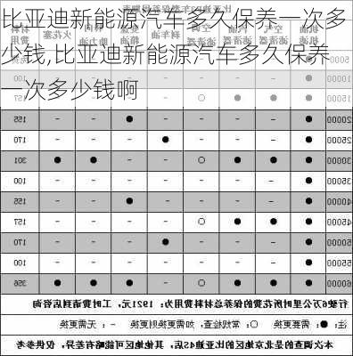 比亚迪新能源汽车多久保养一次多少钱,比亚迪新能源汽车多久保养一次多少钱啊-第1张图片-苏希特新能源