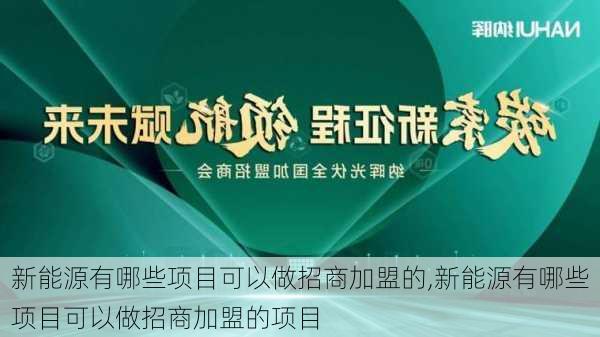 新能源有哪些项目可以做招商加盟的,新能源有哪些项目可以做招商加盟的项目-第3张图片-苏希特新能源