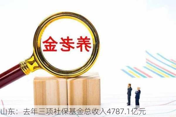 山东：去年三项社保基金总收入4787.1亿元-第2张图片-苏希特新能源