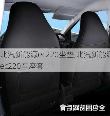 北汽新能源ec220坐垫,北汽新能源ec220车座套-第2张图片-苏希特新能源