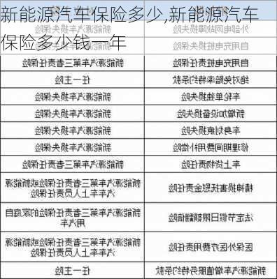 新能源汽车保险多少,新能源汽车保险多少钱一年-第3张图片-苏希特新能源