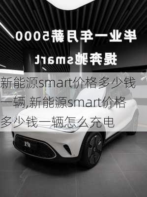 新能源smart价格多少钱一辆,新能源smart价格多少钱一辆怎么充电