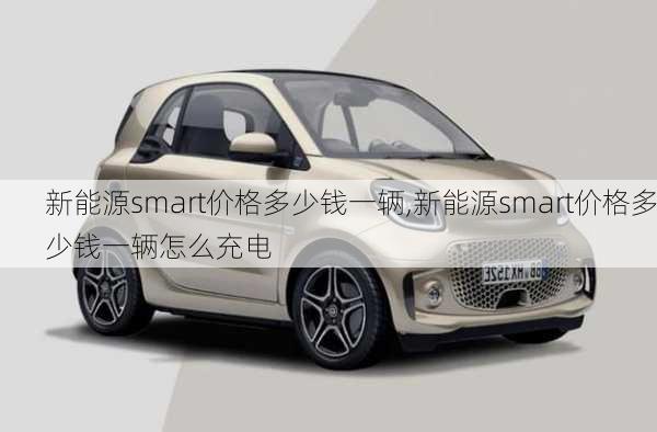 新能源smart价格多少钱一辆,新能源smart价格多少钱一辆怎么充电-第2张图片-苏希特新能源