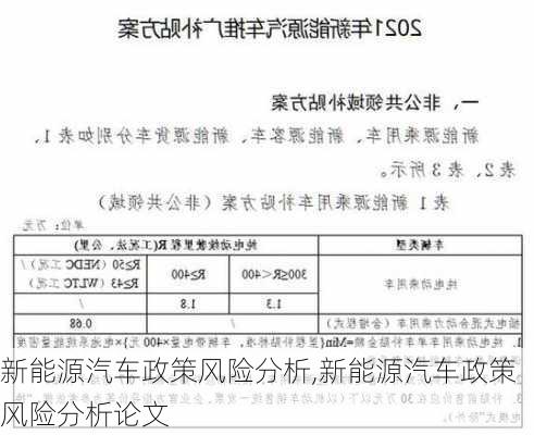 新能源汽车政策风险分析,新能源汽车政策风险分析论文-第2张图片-苏希特新能源