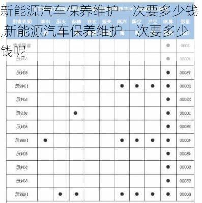 新能源汽车保养维护一次要多少钱,新能源汽车保养维护一次要多少钱呢-第2张图片-苏希特新能源