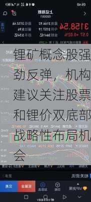 锂矿概念股强劲反弹，机构建议关注股票和锂价双底部战略性布局机会-第2张图片-苏希特新能源