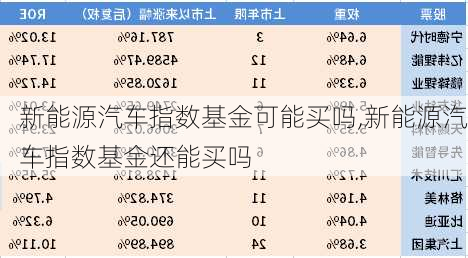 新能源汽车指数基金可能买吗,新能源汽车指数基金还能买吗-第1张图片-苏希特新能源