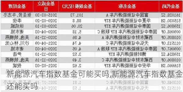 新能源汽车指数基金可能买吗,新能源汽车指数基金还能买吗-第2张图片-苏希特新能源