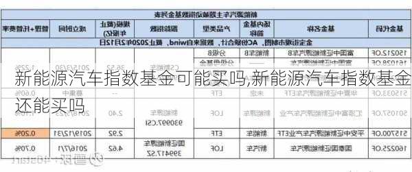 新能源汽车指数基金可能买吗,新能源汽车指数基金还能买吗-第3张图片-苏希特新能源