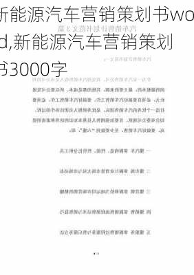 新能源汽车营销策划书word,新能源汽车营销策划书3000字