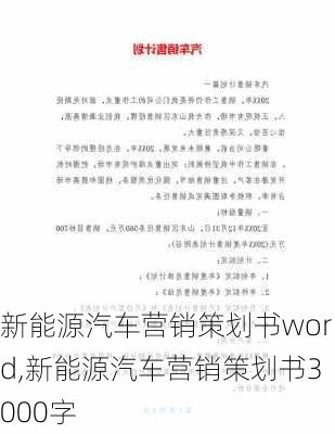 新能源汽车营销策划书word,新能源汽车营销策划书3000字-第2张图片-苏希特新能源