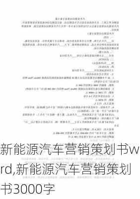 新能源汽车营销策划书word,新能源汽车营销策划书3000字-第3张图片-苏希特新能源