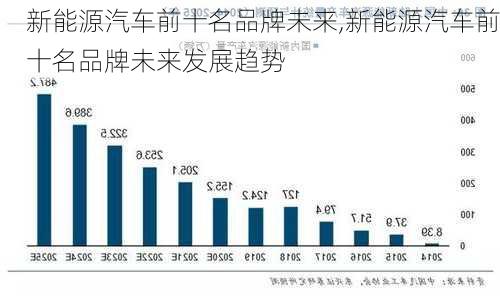 新能源汽车前十名品牌未来,新能源汽车前十名品牌未来发展趋势-第2张图片-苏希特新能源