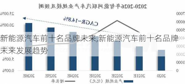 新能源汽车前十名品牌未来,新能源汽车前十名品牌未来发展趋势-第3张图片-苏希特新能源