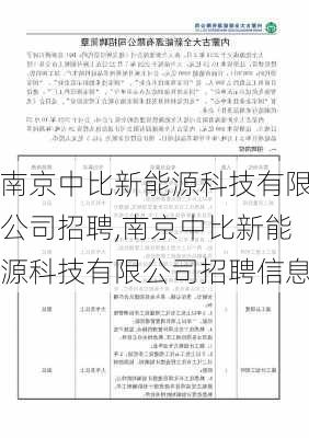 南京中比新能源科技有限公司招聘,南京中比新能源科技有限公司招聘信息-第3张图片-苏希特新能源