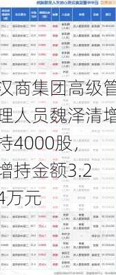 汉商集团高级管理人员魏泽清增持4000股，增持金额3.24万元-第1张图片-苏希特新能源