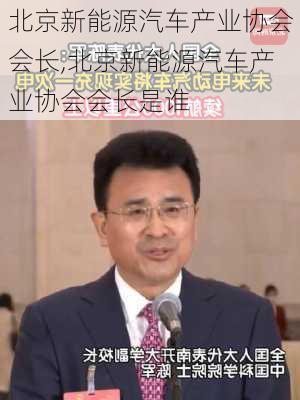 北京新能源汽车产业协会会长,北京新能源汽车产业协会会长是谁-第3张图片-苏希特新能源