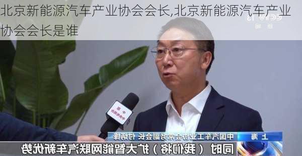 北京新能源汽车产业协会会长,北京新能源汽车产业协会会长是谁-第2张图片-苏希特新能源