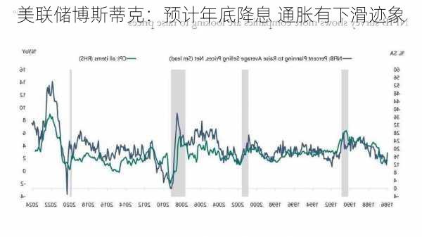 美联储博斯蒂克：预计年底降息 通胀有下滑迹象-第1张图片-苏希特新能源