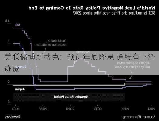 美联储博斯蒂克：预计年底降息 通胀有下滑迹象-第2张图片-苏希特新能源