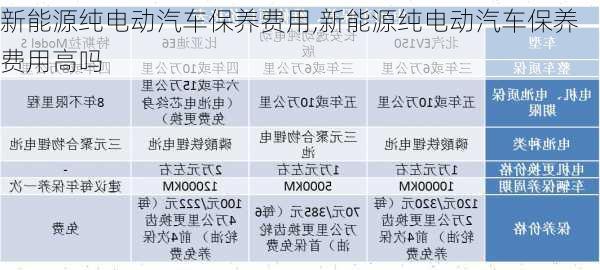 新能源纯电动汽车保养费用,新能源纯电动汽车保养费用高吗-第2张图片-苏希特新能源