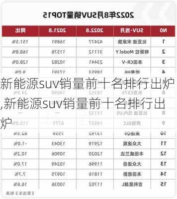 新能源suv销量前十名排行出炉,新能源suv销量前十名排行出炉-第2张图片-苏希特新能源