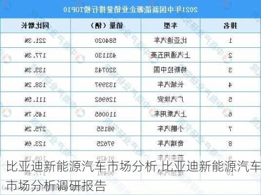 比亚迪新能源汽车市场分析,比亚迪新能源汽车市场分析调研报告-第2张图片-苏希特新能源