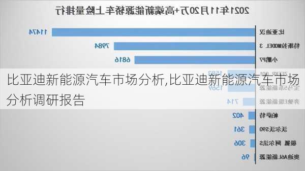 比亚迪新能源汽车市场分析,比亚迪新能源汽车市场分析调研报告-第1张图片-苏希特新能源