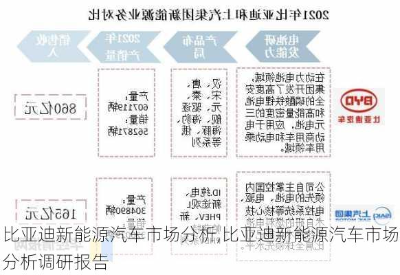 比亚迪新能源汽车市场分析,比亚迪新能源汽车市场分析调研报告-第3张图片-苏希特新能源