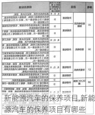 新能源汽车的保养项目,新能源汽车的保养项目有哪些-第1张图片-苏希特新能源