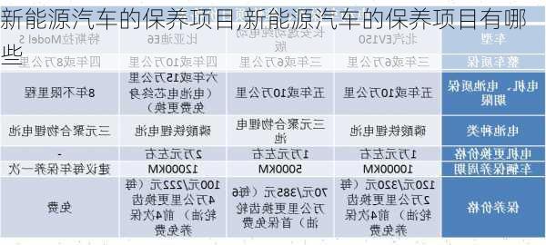 新能源汽车的保养项目,新能源汽车的保养项目有哪些-第2张图片-苏希特新能源