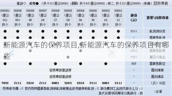 新能源汽车的保养项目,新能源汽车的保养项目有哪些-第3张图片-苏希特新能源