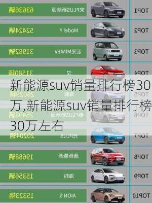 新能源suv销量排行榜30万,新能源suv销量排行榜30万左右-第2张图片-苏希特新能源