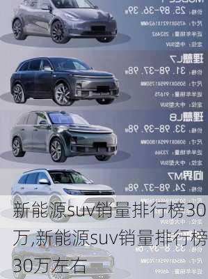 新能源suv销量排行榜30万,新能源suv销量排行榜30万左右-第3张图片-苏希特新能源