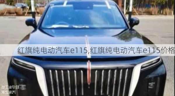 红旗纯电动汽车e115,红旗纯电动汽车e115价格-第2张图片-苏希特新能源