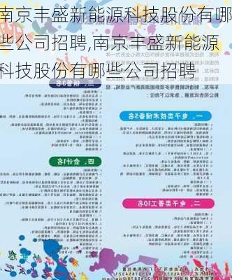 南京丰盛新能源科技股份有哪些公司招聘,南京丰盛新能源科技股份有哪些公司招聘-第2张图片-苏希特新能源